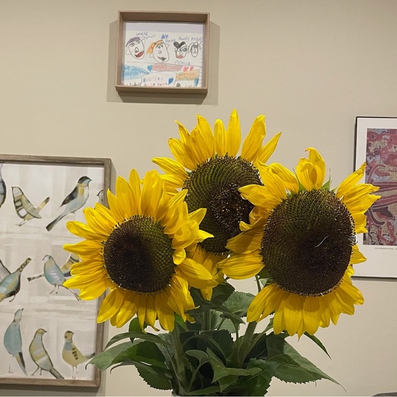 Meet your Posher, Monica - Picture 2 of 8